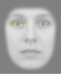 Orienting to fear under transient focal disruption of the human amygdala