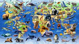 Hd Jpeg Map Of Endangered Species Endangered Animals Pet Day Wildlife Wallpaper