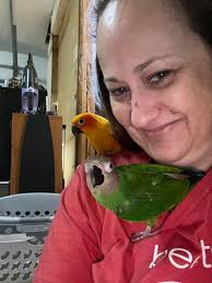 Missing Conure. Just putting this out there in the hope that someone may  have spotted the little birdie. He flew away last night 12/10/2022 from the  Brier Close area. He has green