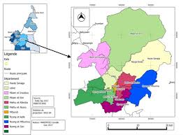 Image result for Lasiodiscus mannii