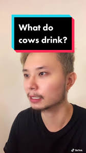 Share this to someone if u fell for it @ruthbellpan #rbaaron #comebacks  #funny