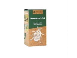 Image result for puklice švestková obrázek