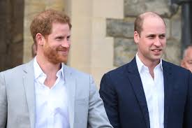 Brothers prince william and prince harry have had a fractured relationship in recent prince william had to defend the royal family after prince harry and wife meghan markle. Prinz William Prinz Harry Insider Plaudert Aus Versohnung Dank Megxit Brigitte De