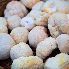 Dash the cooked mushrooms with a pinch of sea salt and eat them while they're hot. Lion S Mane Benefits Side Effects Dosage And Interactions