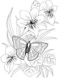 You can color lots of flowers in vases here. Butterfly Coloring Pages 38 Purple Kitty Butterfly Coloring Page Flower Coloring Pages Coloring Pages