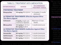 Canine Lyme Disease How Real Is The Threat Todays