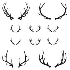 Á Of Deer Stock Drawings Royalty Free Moose Antlers Vectors Download On Depositphotos Well i have been getting into drawing realistic animals lately and i think it's mainly because i want to get better at drawing realistically, and. royalty free moose antlers vectors