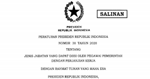 Perpres Nomor 38 Tahun 2020 Tentang Jenis Jabatan Yang Dapat Diisi Oleh Pppk Atau P3k Jenis Pemerintah P3k