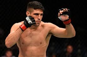 Preliminary card | welterweight · 170 lbs | mma. Vicente Luque Replaces Lyman Good Against Belal Muhammad At Ufc 205
