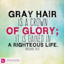 Aging With Grace Daughters Of The Creator Grey Hair Quotes Daily Devotional Grey Hair Don T Care