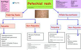 Laboratory studies once purpura fulminans is suspected, workup should begin immediately to identify the underlying etiology. Causes Of Petechial Rash Differential Diagnosis Algorithm Febrile Grepmed