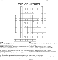 Analyze how do the data support the hypothesis that dna, not protein, is the transforming principle? From Dna To Proteins Crossword Wordmint