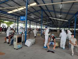Riêng ngày 16/2, bộ y tế ghi nhận thêm 40 ca, nâng tổng số từ ngày 28/1 đến nay là 539. Tp Háº£i DÆ°Æ¡ng Gian Cach Xa Há»™i Theo Chá»‰ Thá»‹ 15