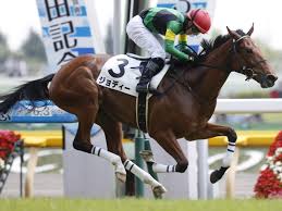 東の一番星はダイワメジャー産駒ジョディー 東京新馬 競馬ニュース Netkeiba Com