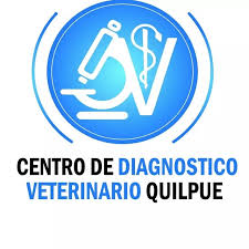 Centro de Diagnóstico Veterinario Quilpué