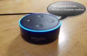 She'll say sure, i can laugh, and then laugh. 131 Funny Geeky And Creepy Questions To Ask Alexa