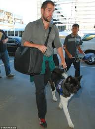 Henry Cavill Takes His Service Dog With Him For A Flight Out Of La Henry Cavill Henry Cavill News Henry