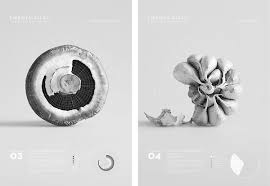 Gemma Warriner Uts Visual Communication Grad Show 2013 Data Visualization Design Visual Communication Graphics Layout