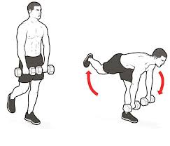 Fitness Local Dulwich Hill - DB single led RDL Single-Leg RDL Muscular Benefits -Increases strength in the glutes, hamstrings and lower back -Improves hip stability -Improves balance #fitnesslocaldulwichhill | Facebook