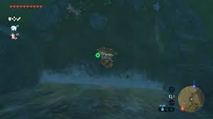 I love the game so much i tried to cook one of the dishes from the game, the salmon meuniere. Breath Of The Wild Tips And Tricks Shrine Quests Zelda S Palace