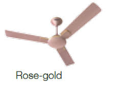 Shop wide range of havells ceiling fans online at affordable rates from one of the best wholesaler & supplier of electronics in ahmedabad, gujarat. Enticer 1050 Mm Sweep Ceiling Fan Rose Gold Electrical Fittings Fans Buy Enticer 1050 Mm Sweep Ceiling Fan Rose Gold Online At Low Price Only On Buildnext In Buildnext