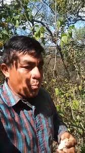 Acompáñame al Suaron, colonia Nogalera. ✌️😊