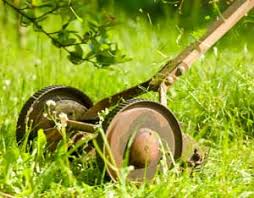These online platforms offer different types of lawnmower and the price varies according to the age and features of the lawnmower. How To Maintain Push Reel Mowers