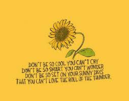 Sunflower Quote Words Quotes Life Words Sunflower Quotes