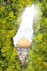 علم فلسطين فيس بوك 2021. Ø§Ø¬Ù…Ù„ ØµÙˆØ±Ø© Ù„Ø®Ø§Ø±Ø·Ø© ÙÙ„Ø³Ø·ÙŠÙ† ÙˆØ§Ù„Ù‚Ø¯Ø³ ØªØµÙ…ÙŠÙ… Ø¬Ø¯ÙŠØ¯ Ø¬Ù†Ø© Ø§Ù„Ø§Ø±Ø¶ Ø§Ù„Ù…ØµÙ…Ù… Ø§Ø¯Ù… Ø­Ù„Ø³