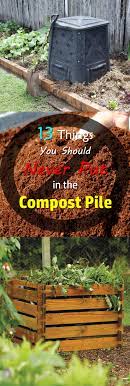 Add a balanced mix of materials with a carbon nitrogen ratio of about 25. 13 Things You Can T Compost What Not To Compost Balcony Garden Web