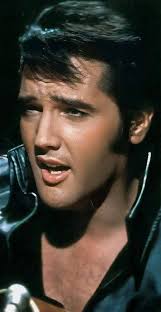 People often wondered why Elvis Presley sometimes looked as if he carried a  hint of something faraway in his features, as though he had stepped out of  a story that didn't begin