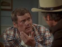 "McCloud" The Gang That Stole Manhattan (TV Episode 1974)