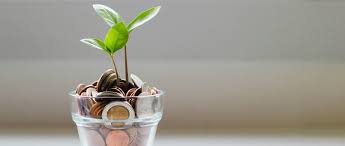 Daily Dividends » A decade of impact: how three CPAs joined forces to  champion financial literacy