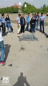 ماجرا وعکسهای خودکشی دختر شیرازی بعد از پخش شدن فیلم غیر اخلاقی اش -  تــــــــوپ تـــــــــاپ