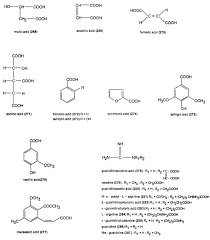 Image result for Diospyros loureiriana