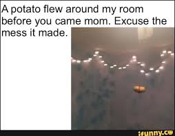 Mayo , sncns , glutenrich , mythicaldrogonoid6 , caden , +93 favorited this sound button. A Potato Flew Around My Room Before You Came Mom Excuse The Mess It Made Ifunny