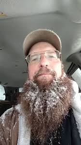 What's the best time to clear brush in cemeteries?