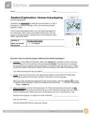 Issuu is a digital publishing platform that makes it simple to. 14a Humankaryotypingse Teacher Edit Docx Name Date Student Exploration Human Karyotyping 18 Point Assignment Scientists Use Karyotypes To Study The Course Hero