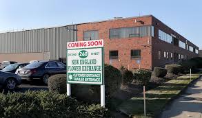 On the north by 26th street; Ready To Bloom Anew The Boston Globe