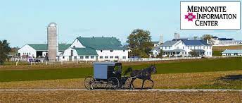 Check spelling or type a new query. Mennonite Information Center Biblical Tabernacle Reproduction