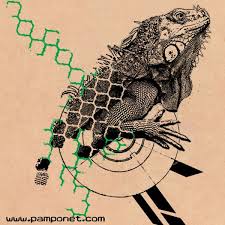 Iguana Iguana Tattoo Illustration Tangle Art