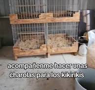 Cómo hacer jaulas creativas para gallitos