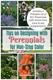 Flower Garden Design Tips Gingham Gardens Flower Garden Layouts Beautiful Flowers Garden Garden Design Layout