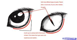 How To Draw A Cat Step By Step Realistic Draw A Realistic Cat Draw Real Cat Step By Step Realisti Cat Eyes Drawing Cat Drawing Tutorial Realistic Drawings