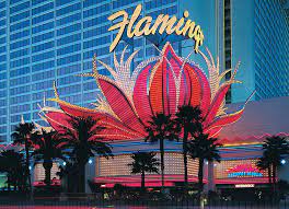 Flamingo Cool And Unusual Hotels In Las Vegas Usa Flamingo Hotel Las Vegas Flamingo Hotel Flamingo Las Vegas