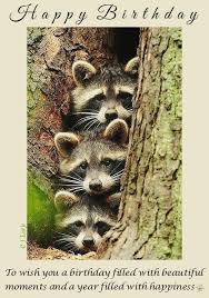 Happy Birthday Racoons 5x7 By Cjlutje Deviantart Com On Deviantart Happy Birthday Birthday Wishes Birthday Meme