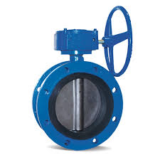 Azure® Gear Operated Flanged Butterfly Valve | Flomatic