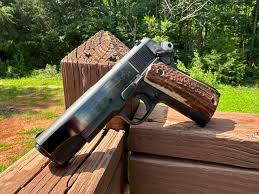 Image result for Caramel Tan 1979 Colt