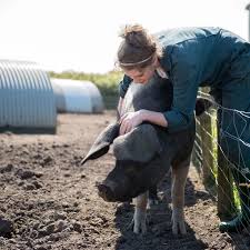 Newham community helps award-winning Primrose Herd thrive