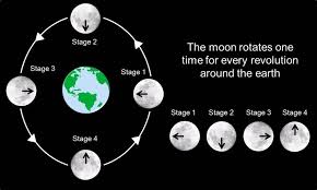 Why Don T We Ever See The Far Side Of The Moon In 2020 Earth Orbit Earth The Far Side